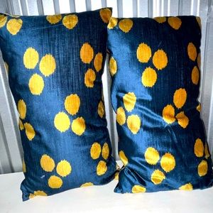 Sexy sleek pillows (2 pillows)